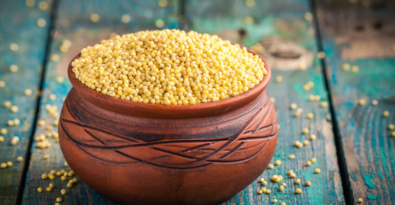 kodo-millet-meaning-in-marathi-kodo-millet-kodo-millet