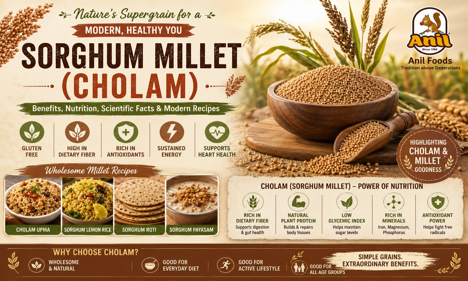 Sorghum Millet (Cholam) Benefits: Nutrition, Scientific Facts, and Modern Recipes
